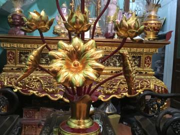 Hoa sen để phòng khách