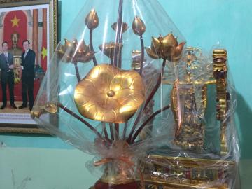 Hoa sen phòng khách