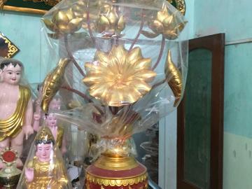 Sen phòng khách sơn son